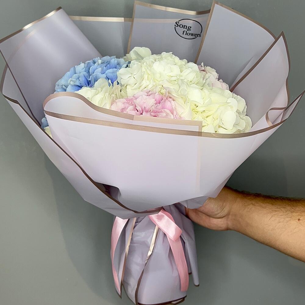 L Hydrangea